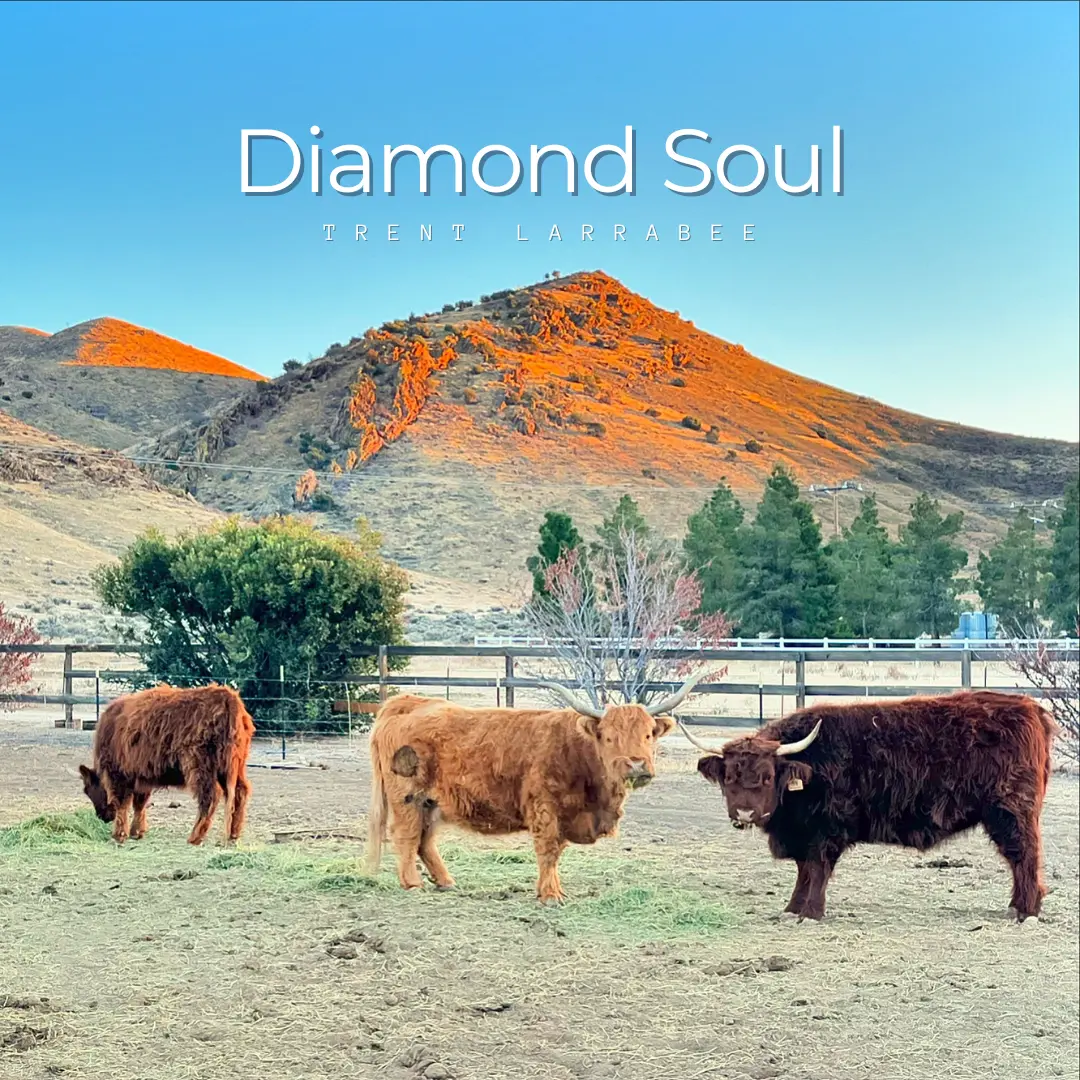 Diamond Soul cover